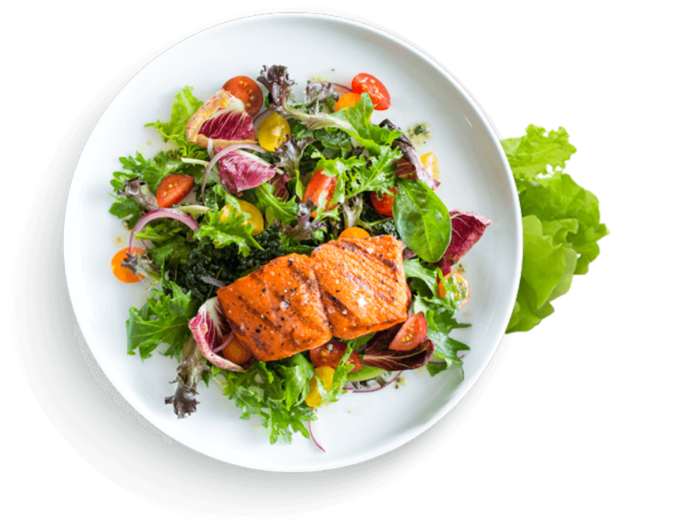 food Food-Plate